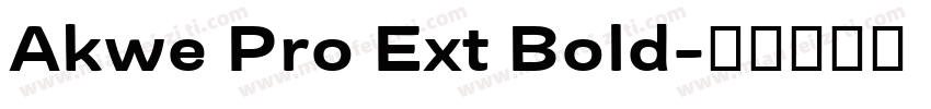 Akwe Pro Ext Bold字体转换